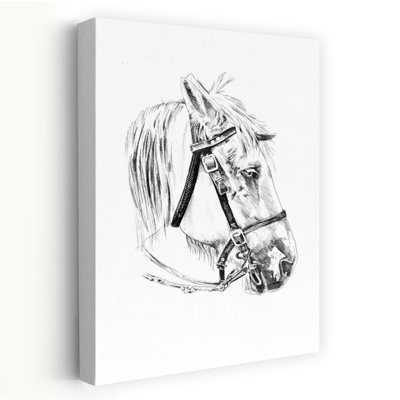 Tête de cheval noble