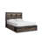 Drystan Bookcase Bed-1324867202