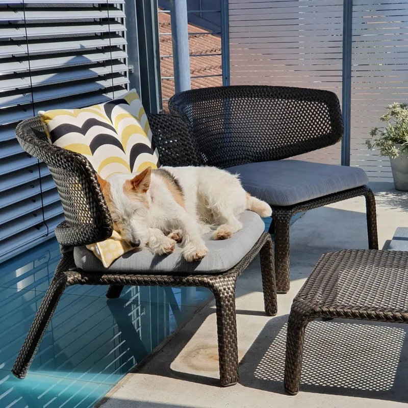 Seashell Outdoor Lounge Chair, Taupe Light, Natura Dark Gray