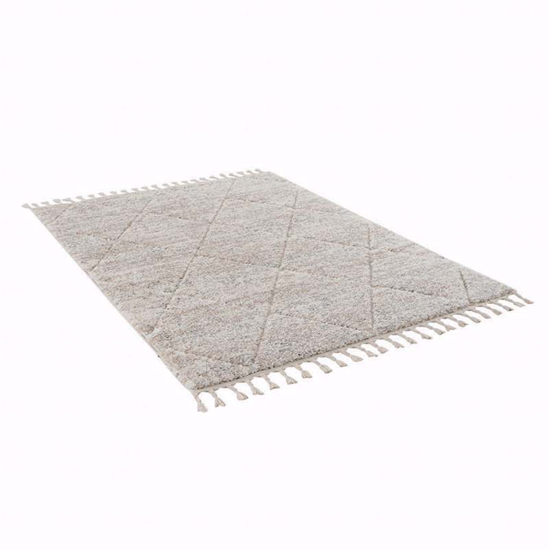 Trellis Area Rug, Rectangle 5'3" x 7'