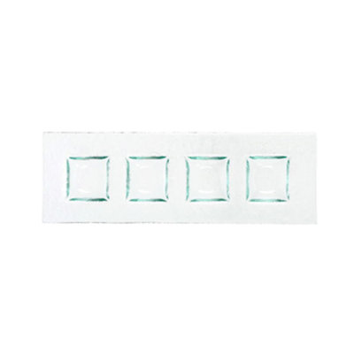 Turgla Home Glass Divided Serving Dish