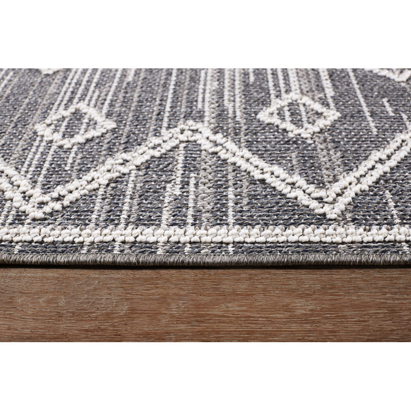 Tapis intérieur / extérieur Denelle, Rectangle 2 pi x 3 pi