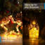 LED Indoor / Outdoor String Lights-770887402-770887401