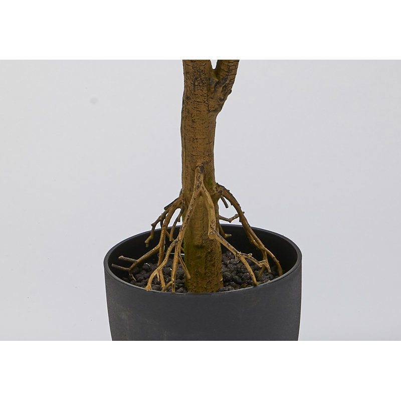 Arbre à ficus en pot Real Touch Orange