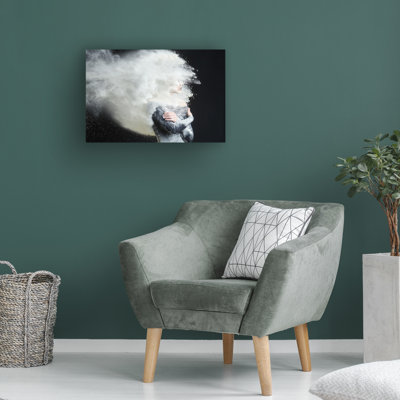 Art sur toile Fyb Flour Dust