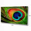 «Peacock Feather», impression-35124958-35124968