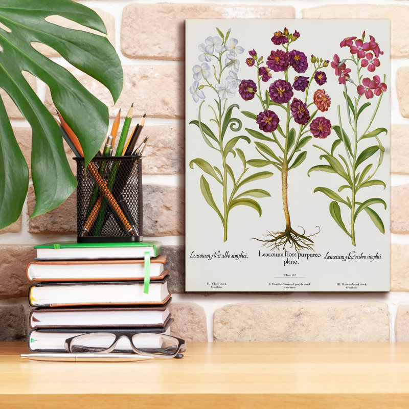 Epic Graffiti 'Leucoium Flore' by Art Licensing Studio Canvas Wall Art, 16" H x 12" W