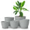 Pots de plantes d'intérieur avec drainage - Paquet de 5 jardinières en plastique de 7 / 6,6 / 6 / 5,3 / 4,8 pouces - Parfait pour les décorations de Noël à la maison ou les bas de Noël
