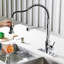 Blue Elephant Pull Down Kitchen Faucet-693506573