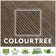 Toile d'ombrage carrée ColorTree - personnalisable, durable et résistante aux rayons UV