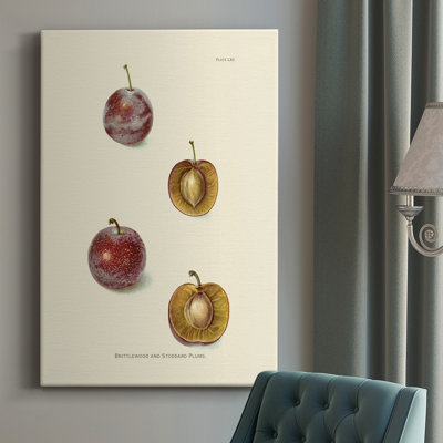 Prune II - impression sur toile tendue