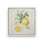 Zesty Little Sunshine, ensemble de 2 impressions-568304937-568304980-568304990