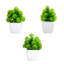 6 po Succulent mélangé artificiel en pot carré blanc - ensemble de 3