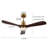 Huybert 48'' Ceiling Fan with LED Lights