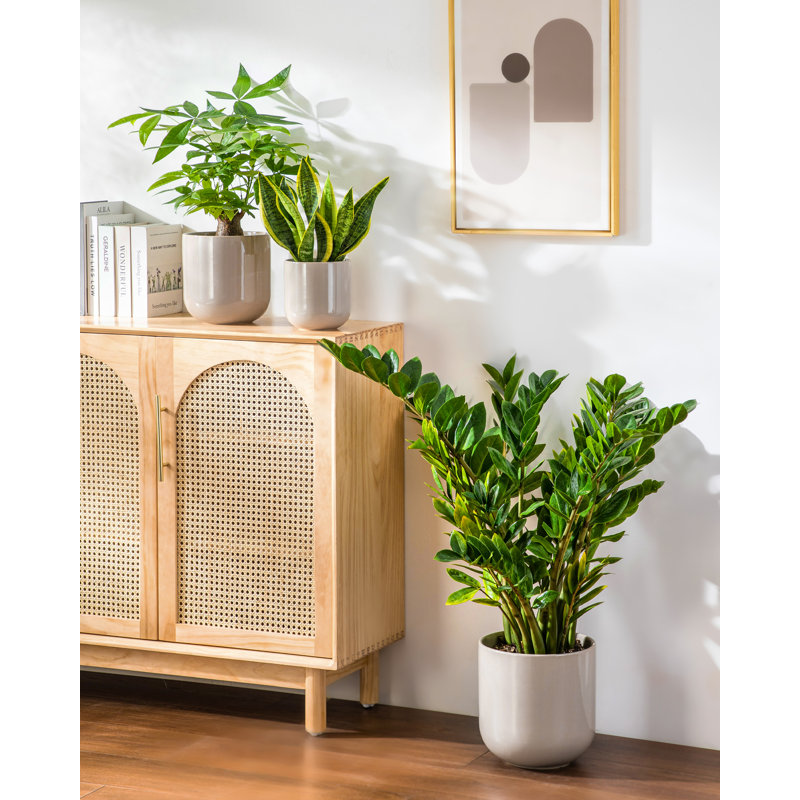 Ceramic Pot Planter, Grey