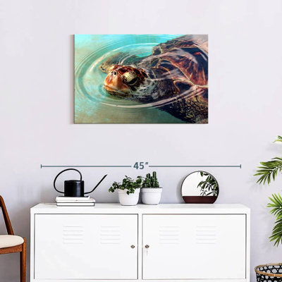 Tortue Brampt