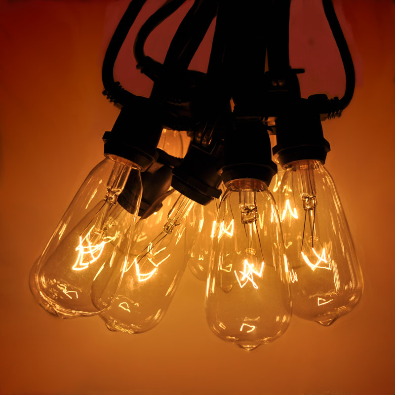 Commercial Edison String Lights Outdoor Plug-in String Light, Black, 600" L