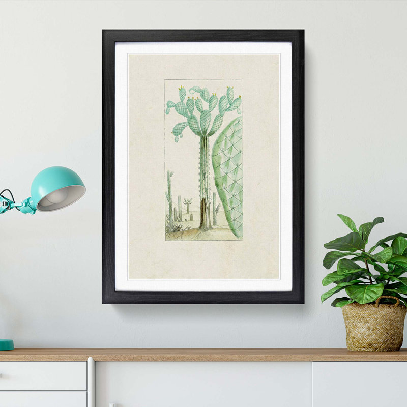 Cactus Illustration - Picture Frame Painting Print, Black Framed, 36cm H x 27cm W x 2cm D