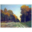 Claude Monet - Wrapped Canvas Painting-946451548