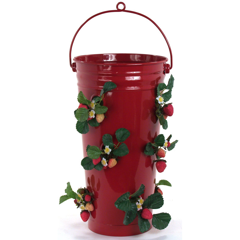 Blaker Metal Hanging Planter, Red