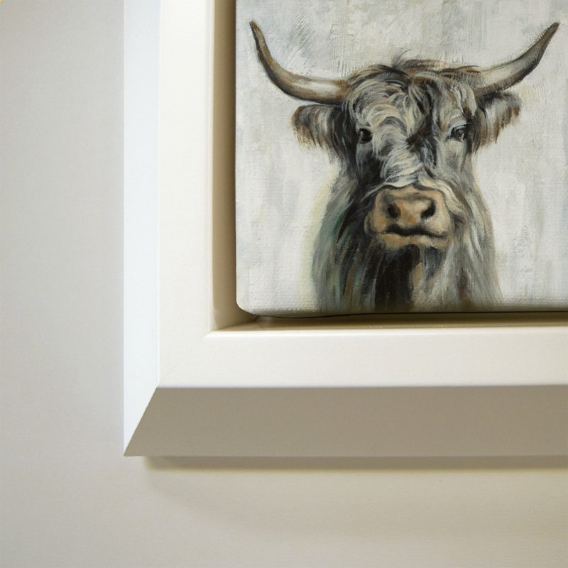 Vache Highland, H 28 po x l 28 po, Blanc