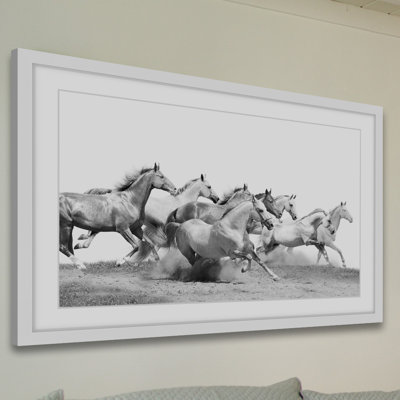 " Horseplay "