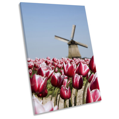 Windmill Flowers Depth Focus Picture - Wrapped Canvas Print