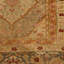 Wool Floral Area Rug in Beige