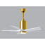 Patricia LED Downrod Ceiling Fan-439919628-486079860