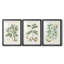Buchoz Tropicals I - Impression personnalisée de qualité supérieure avec cadre mat - 3 pièces-1122286227-1122286229