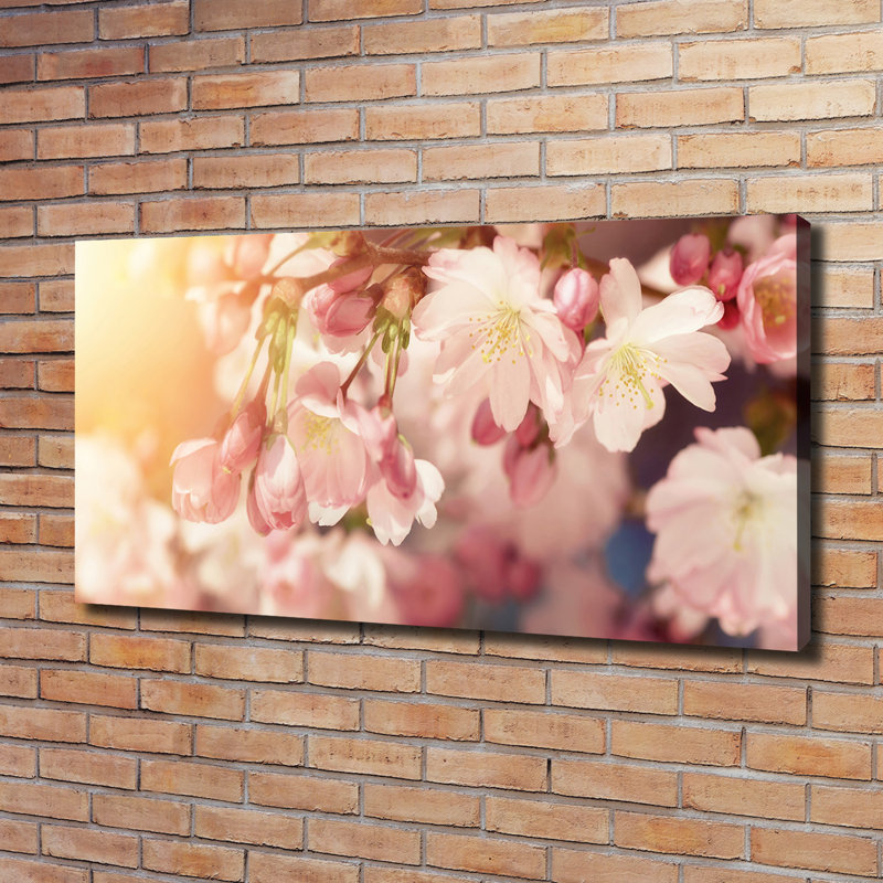 Cherry Blossoms - No Frame Print on Canvas