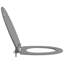 Anthracite Plastic Standard Adjustable Armrests Toilet Seat-1215608313
