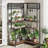 Thilo Corner Bookcase