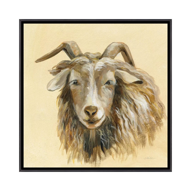 Highland Animal Sheep par Silvia Vassileva - reproduction d'art, Pas de tapis, Encadrement noir décoloré