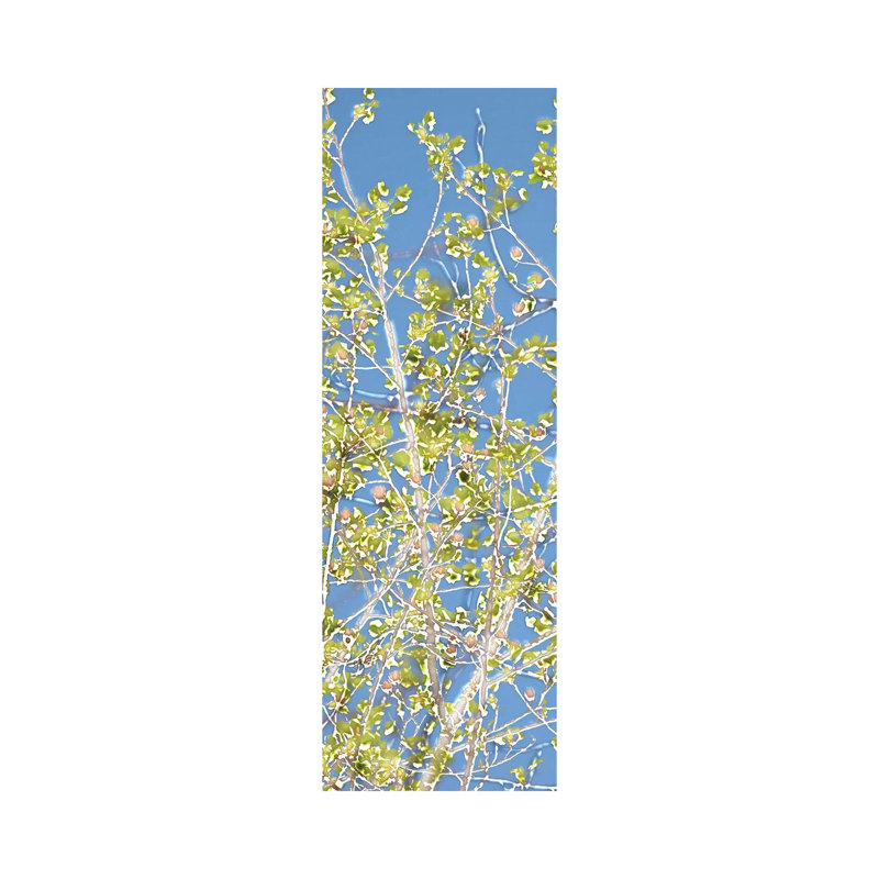 Spring Poplars II by Sharon Chandler - Wrapped Canvas Panoramic Painting, 30.48 cm H x 91.44 cm W x 1.91 cm D