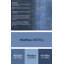 Tapis oriental bleu-1438303745