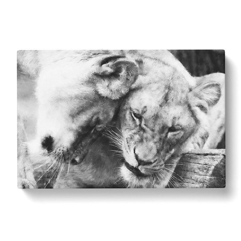 Two Snuggling Lions Painting - Wrapped Canvas, 50cm H x 76cm W x 3cm D