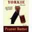 Yorkie beurre d'arachide-634482930