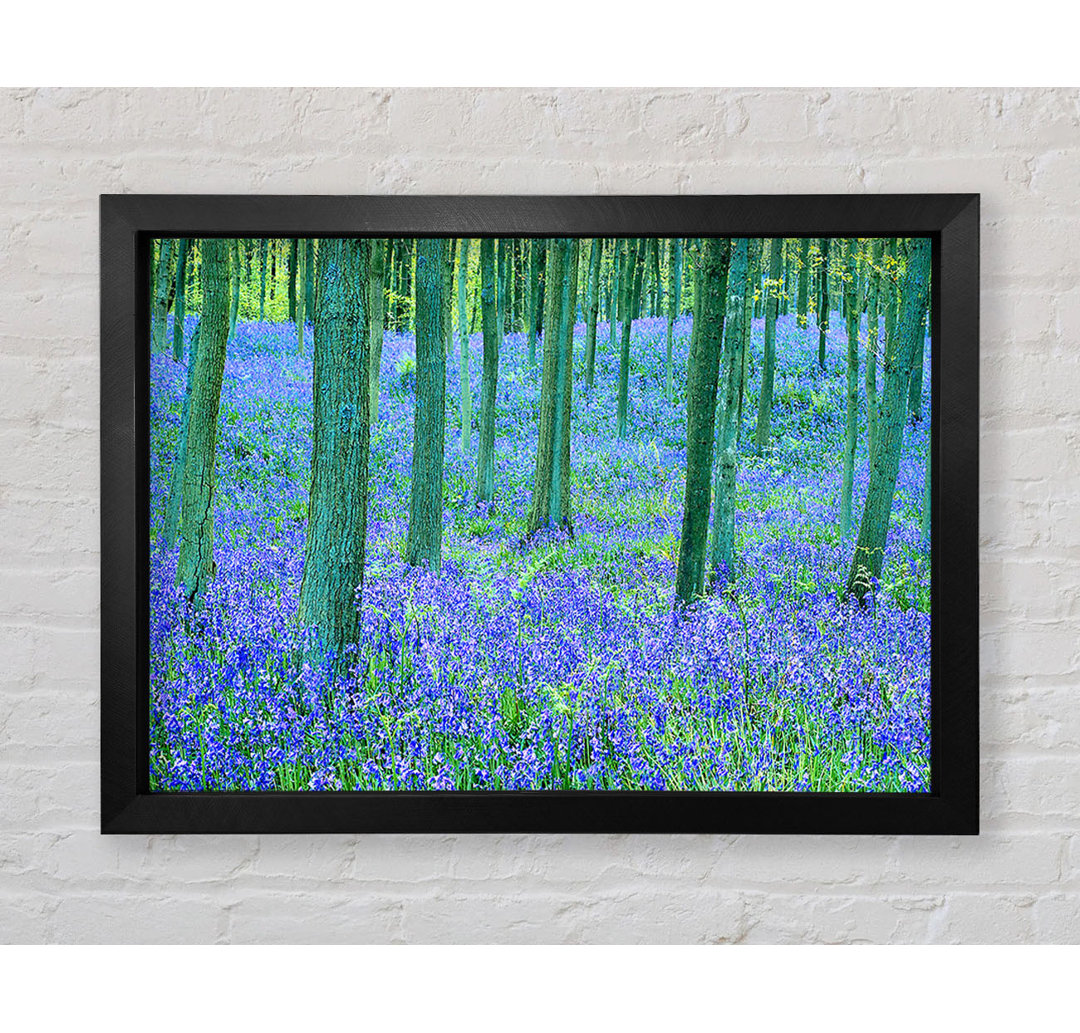 Bluebells In The Forest - Einzelne Bilderrahmen Kunstdrucke