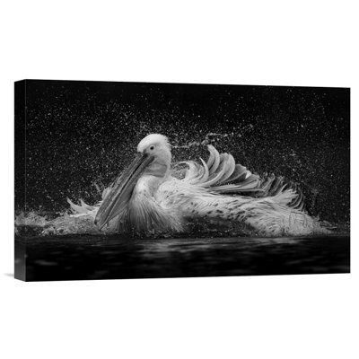 " Bath " by C.S. Tjandra
