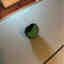 Customer photo 2 of 2