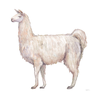 " Bohemian Cactus Llama "