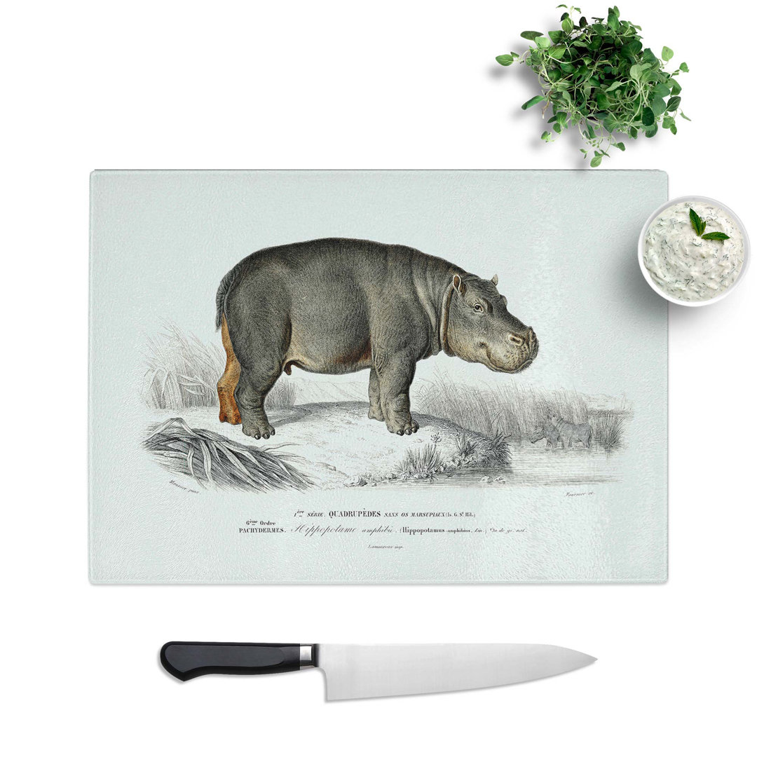 Glass Hippopotamus Illustration by Charles D' Orbigny Chopping Board