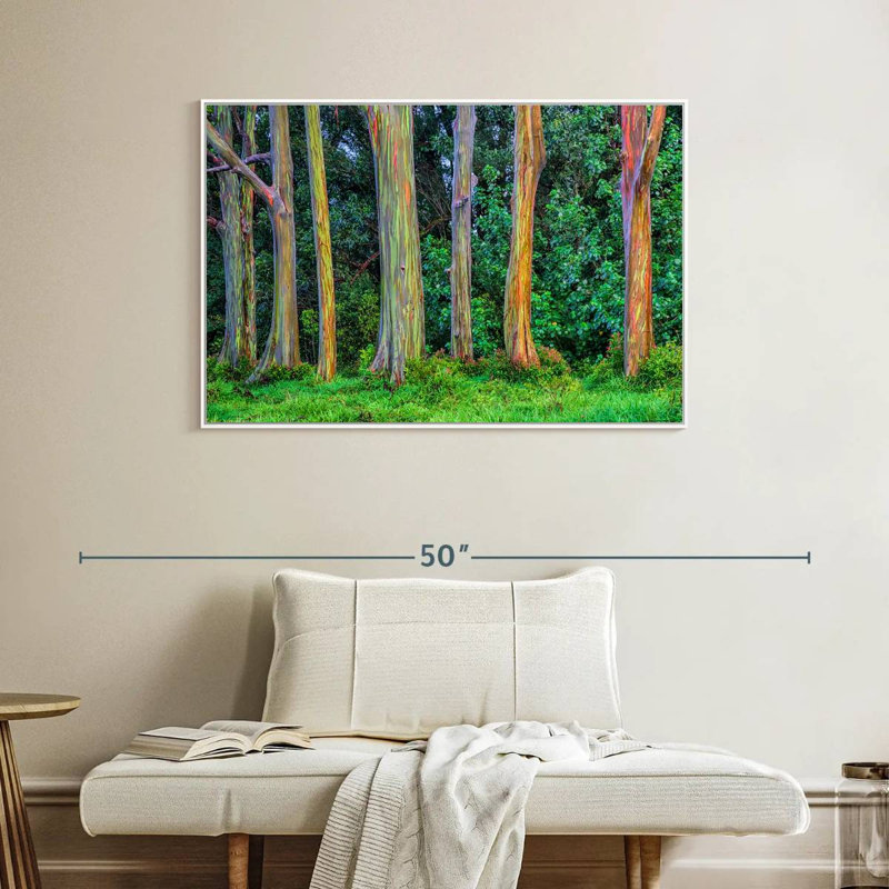 Eucalyptus arc-en-ciel, Cadre flottant blanc, 40 po x 27 po