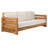 Brailon 83.5'' Wide Straight Teak Patio Sofa with Cushions