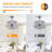 Cladie 18'' Ceiling Fan with Light Kit