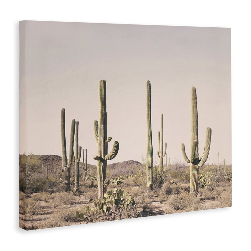 Art mural sur toile Blush Cactus Field par Sissi et Seb, H 16 po x l 20 po