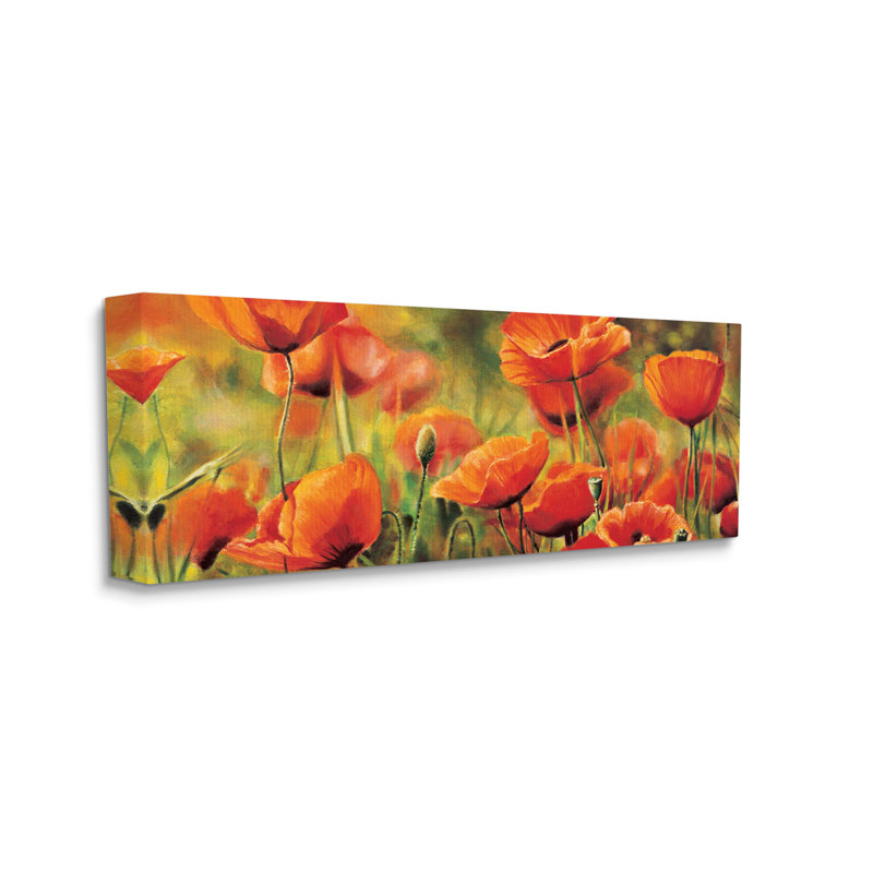 «Wild Poppy Flowers Spring Blooms» par Pierre Viollet - Peinture, H 20 po x l 48 po x P 1,5 po, Toile tendue