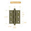 2.5'' x 2'' Butt Bearing Hinge-14748799