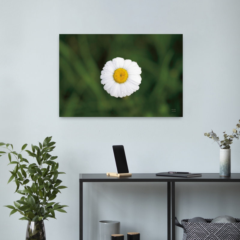 Art contemporain, paysage de marguerite abstraite, H 16 po x l 24 po